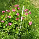 Faneromeni Two Bed Apartment B